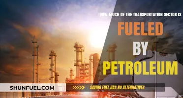 Transportation's Petroleum Dependence: How Much is Too Much?