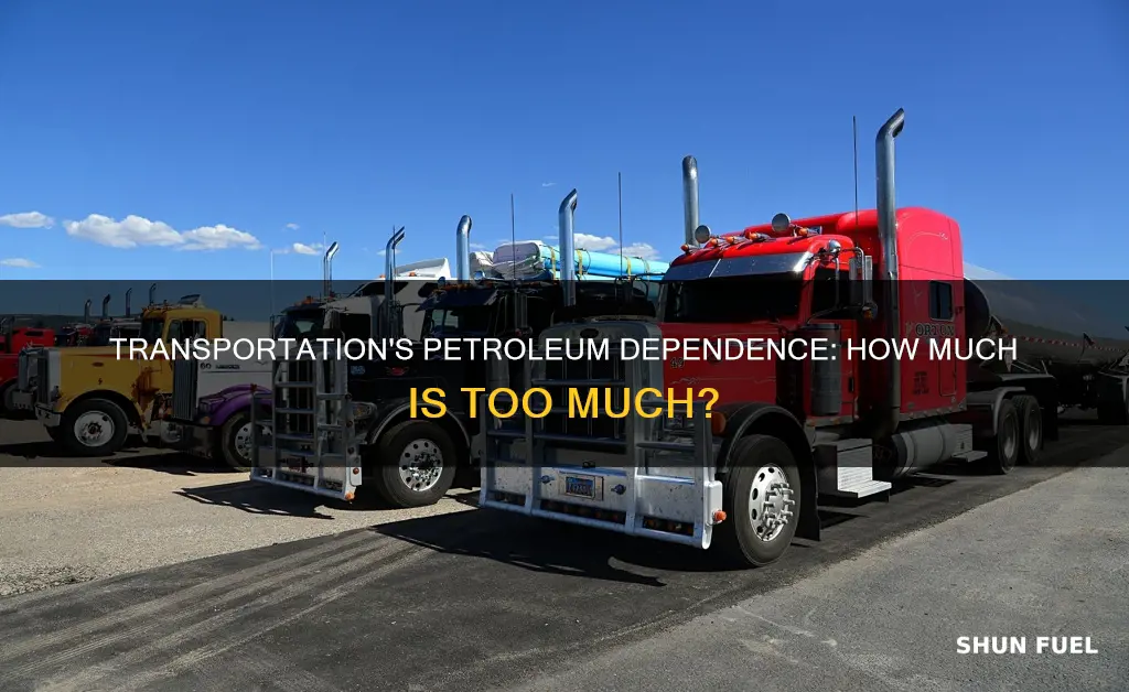 how much of the transportation sector is fueled by petroleum
