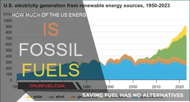 America's Energy: Fossil Fuels' Dominance