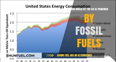 Fossil Fuels Dominance: Powering the US Energy Landscape