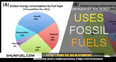 The World's Reliance on Fossil Fuels