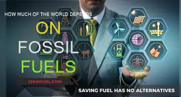 The World's Dependence on Fossil Fuels: A Global Crisis