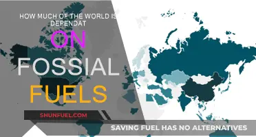 The World's Fossil Fuel Dependence: How Much and Why?