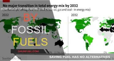 Fossil Fuels' Grip on Global Energy Supplies