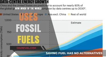 Fossil Fuels: Global Usage and Impact