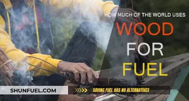 Wood Fuel Usage: A Global Perspective