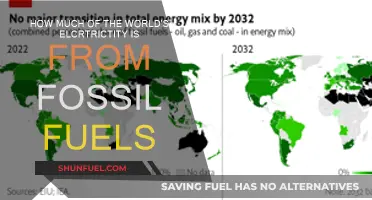 Fossil Fuels' Grip on Global Electricity Supply