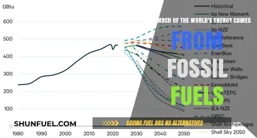 Fossil Fuels: World Energy Source