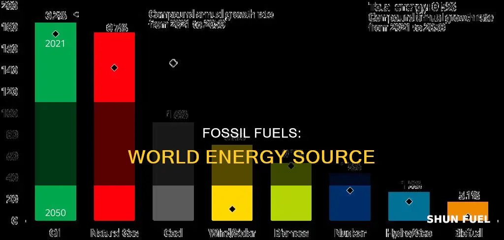 how much of the world