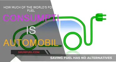 Automobiles' Fossil Fuel Consumption: A Global Concern