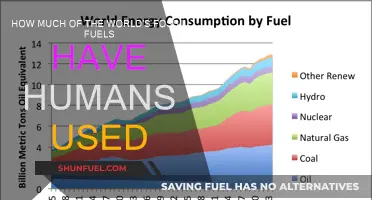 The World's Fossil Fuel Usage: How Much is Left?