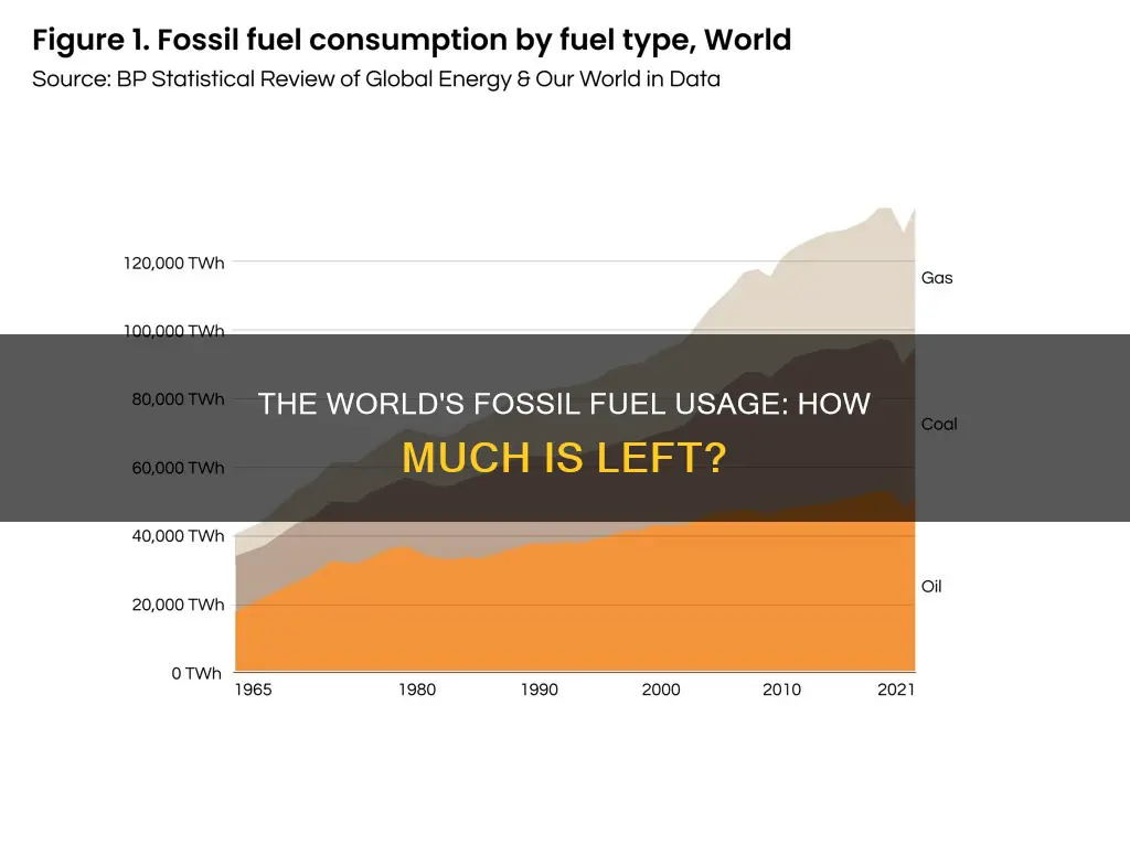 how much of the world