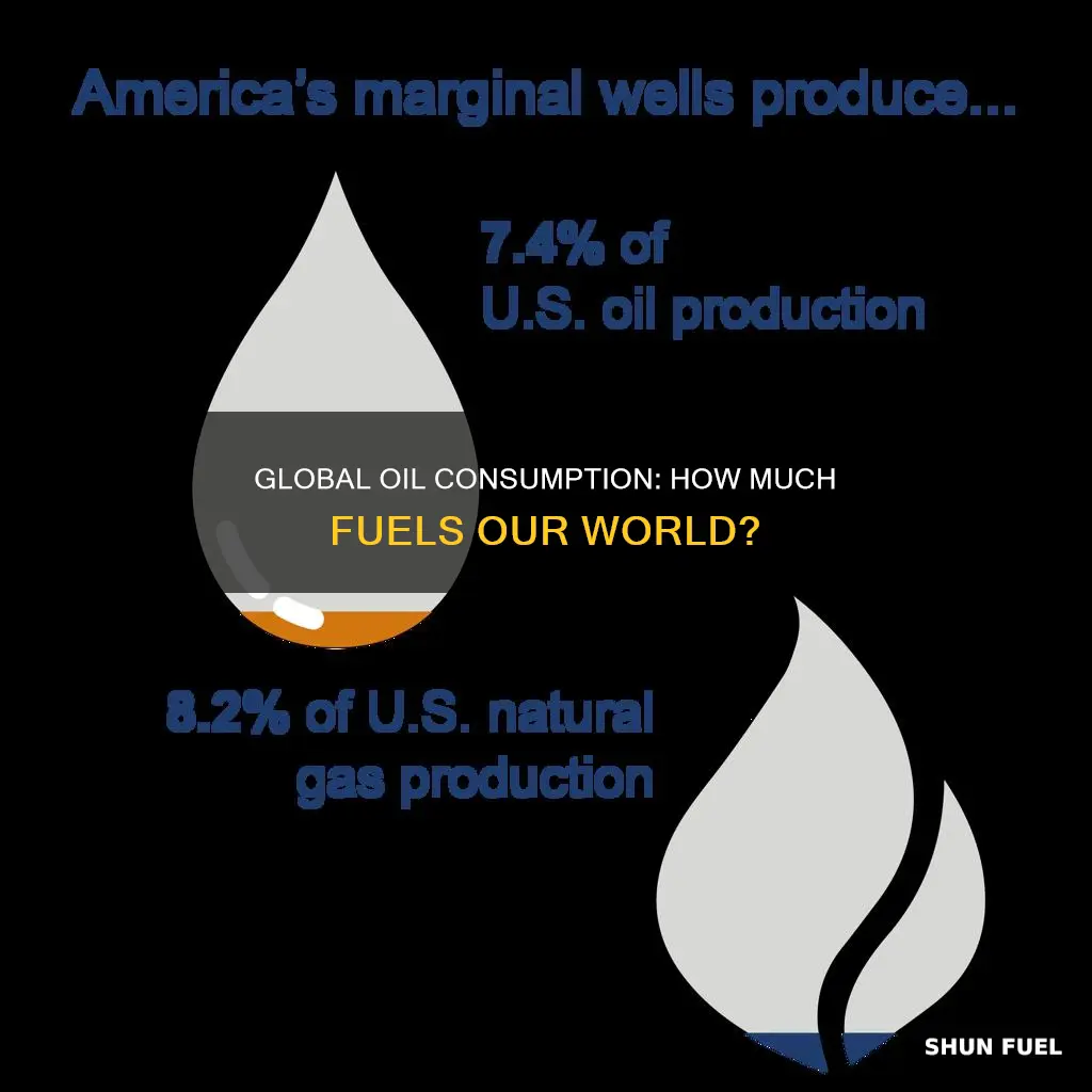 how much of the world