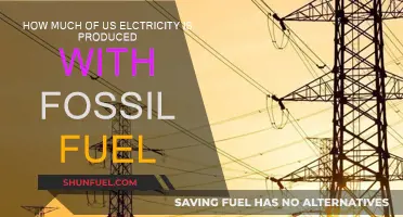 Electricity Generation: Fossil Fuel's Dominance