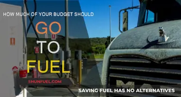 Fuel Expenses: What Percentage of Your Budget?