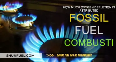 Oxygen Depletion: The True Cost of Fossil Fuels