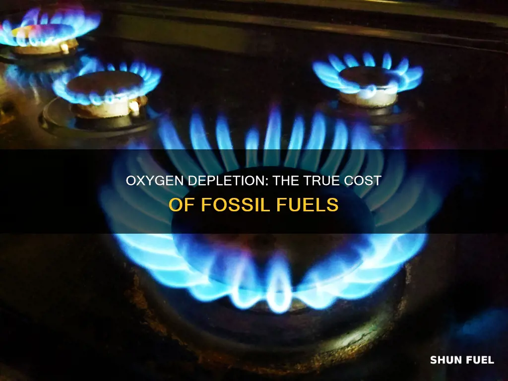 how much oxygen depletion is attributed fossil fuel combustion