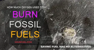 Burning Fossil Fuels: The Oxygen Cost