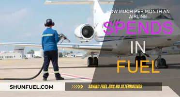 Airline Fuel Expenses: Millions Spent Monthly