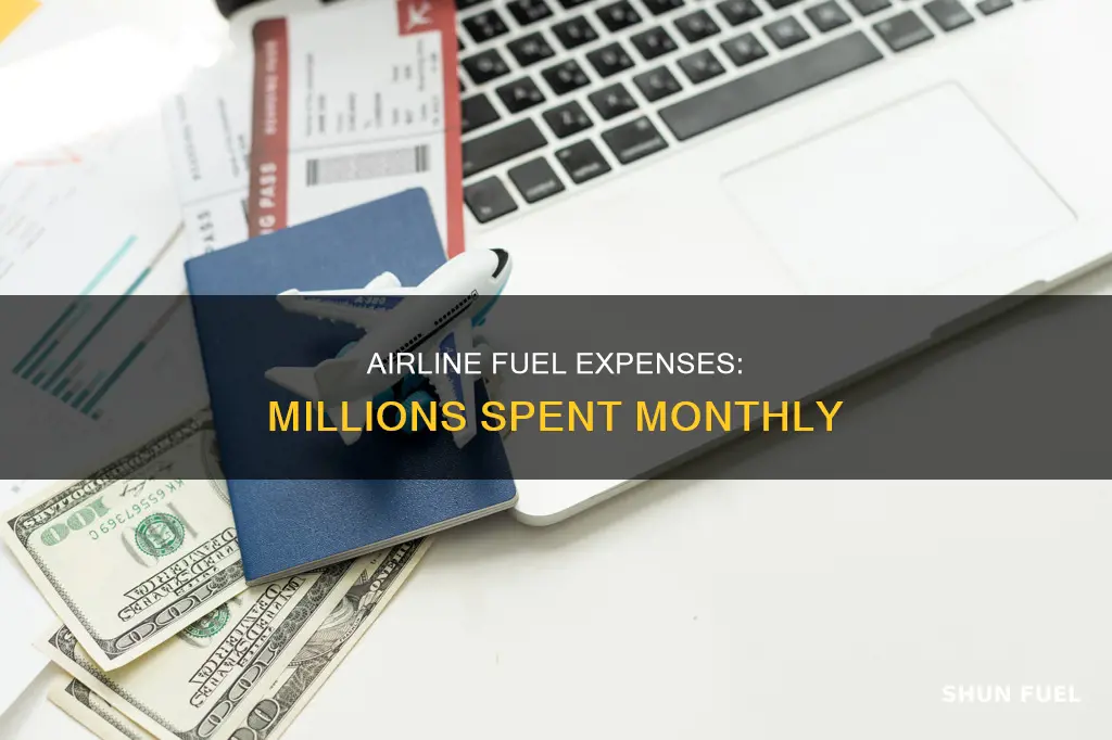 how much per month an airline spends in fuel