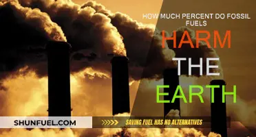 Fossil Fuels: Harming Our Planet, What's the Damage?