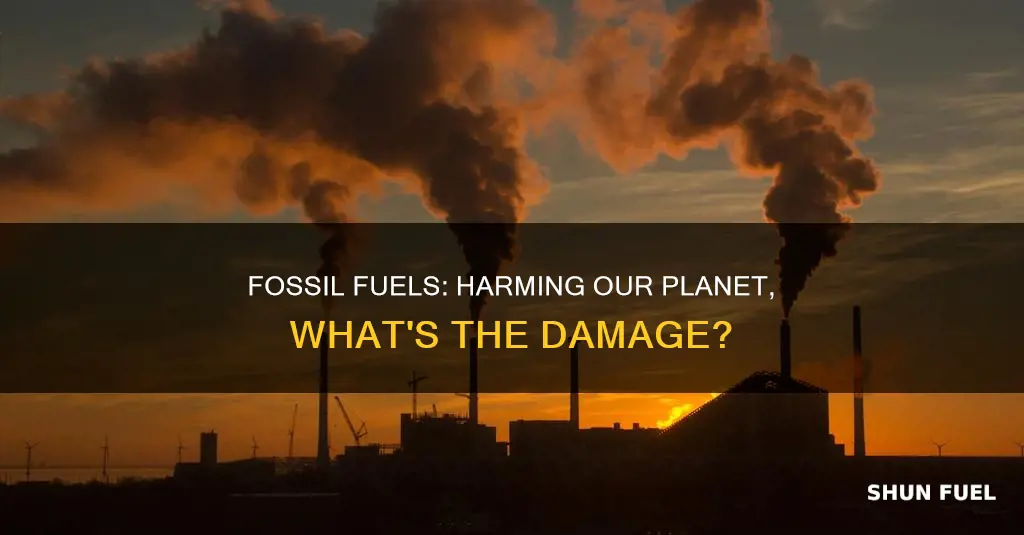 how much percent do fossil fuels harm the earth