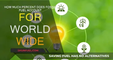 Fossil Fuels: Powering the World, But for How Long?