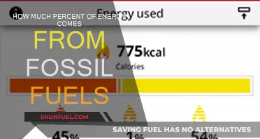 Fossil Fuels: Energy Source Percentage