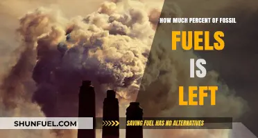 Remaining Fossil Fuel Reserves: How Much Time Do We Have Left?