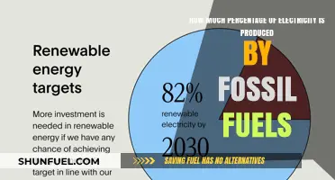 Fossil Fuels Dominance: Percentage of Global Electricity Production