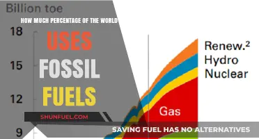 Global Fossil Fuel Dependence: Understanding the World's Energy Reliance