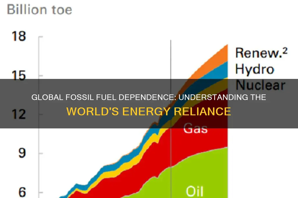 how much percentage of the world uses fossil fuels