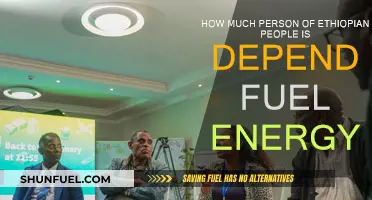 Ethiopia's Energy Dependence: Fuel Sources and Challenges
