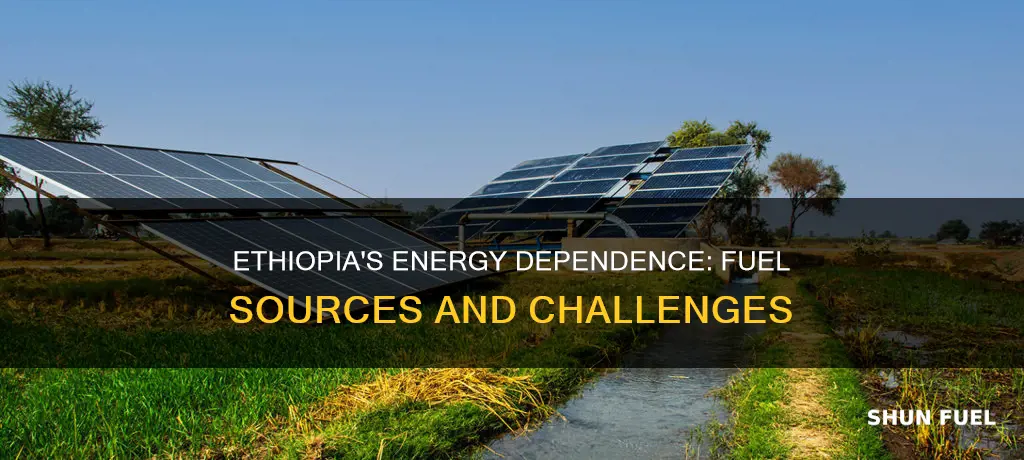 how much person of ethiopian people is depend fuel energy