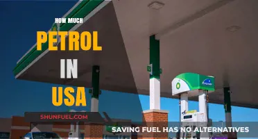 Petrol Consumption in the USA: How Much Is Too Much?