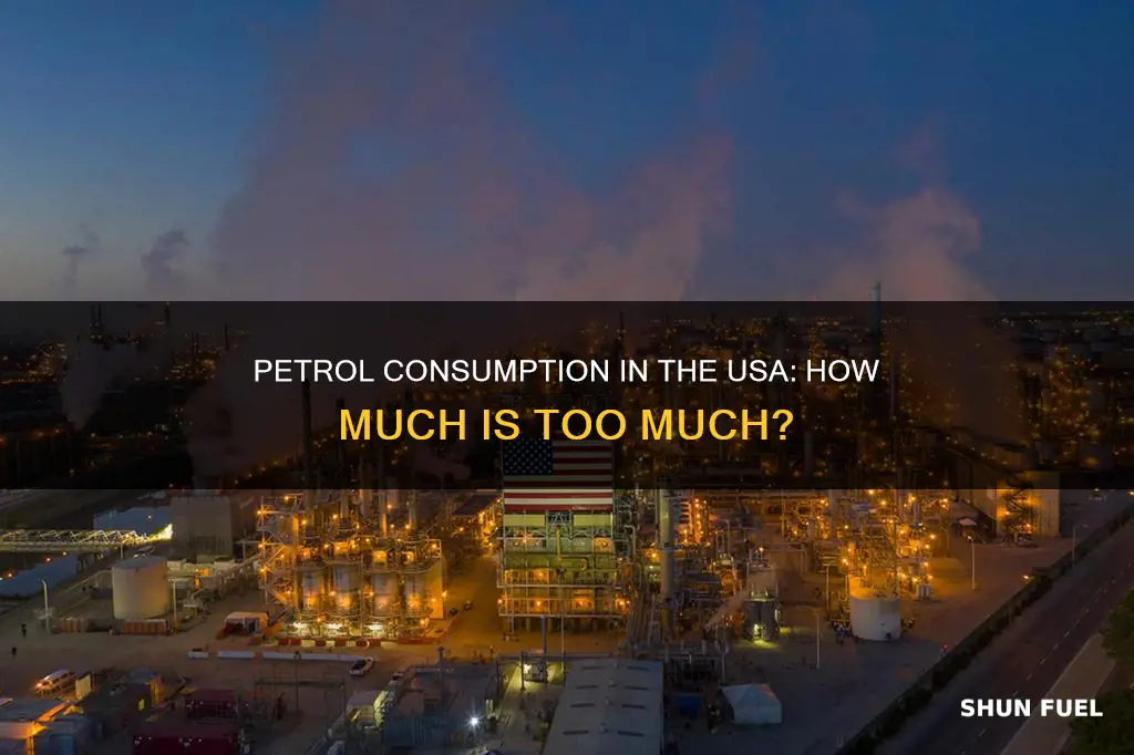 how much petrol in usa
