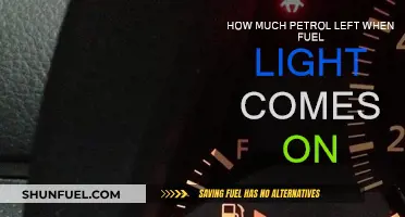 Petrol Warning Light: How Much Fuel Left?