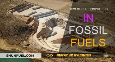 Phosphorus in Fossil Fuels: How Much is Too Much?