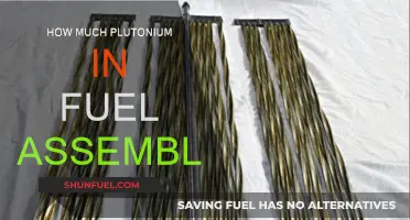Plutonium in Fuel: How Much is Safe?