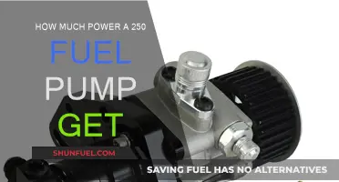 Powering Your Ride: 250 Fuel Pump Performance