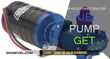 Powering Performance: 255 Fuel Pump's Potential