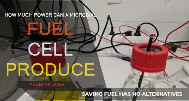 Unlocking Power: Microbial Fuel Cell Energy Potential
