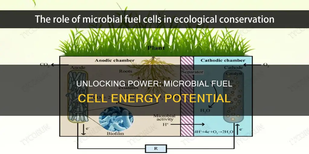 how much power can a microbial fuel cell produce