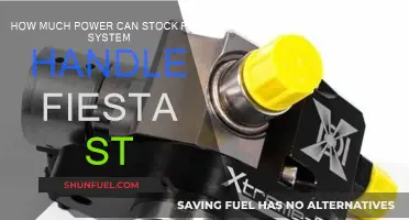 Ford Fiesta ST: Power Handling on Stock Fuel