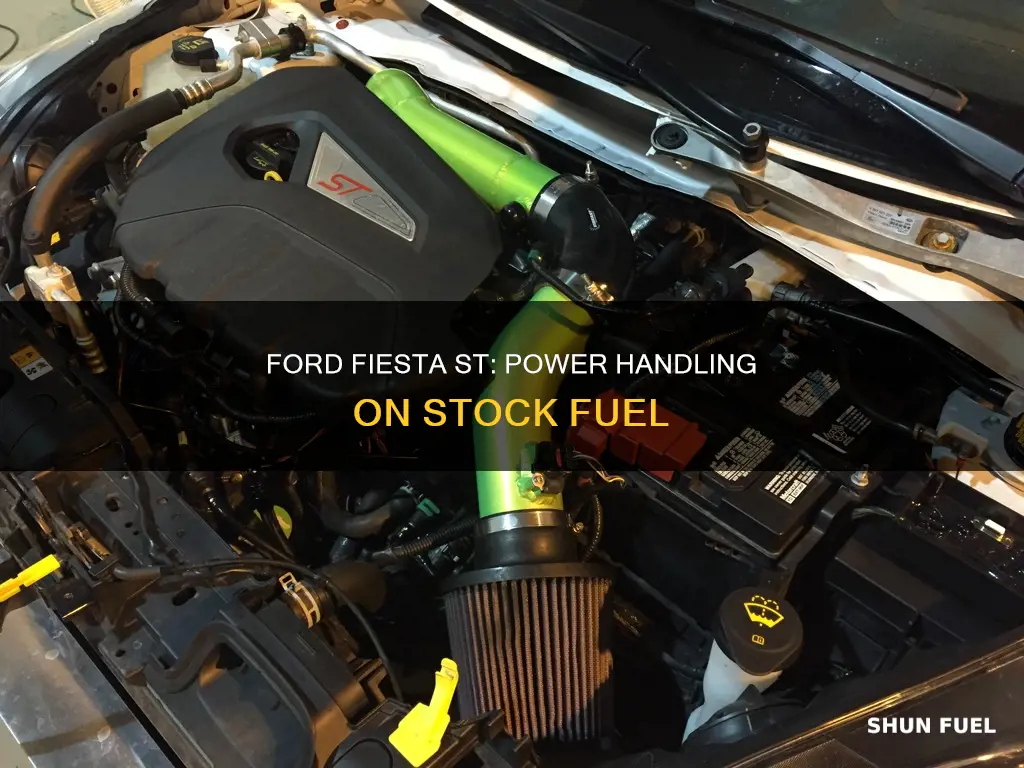 how much power can stock fuel system handle fiesta st