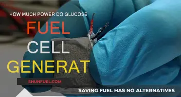 Glucose Fuel Cells: Powering the Future?
