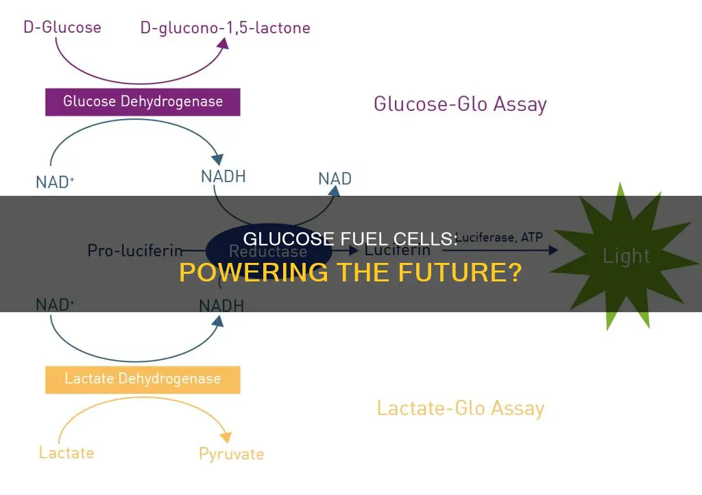 how much power do glucose fuel cell generate