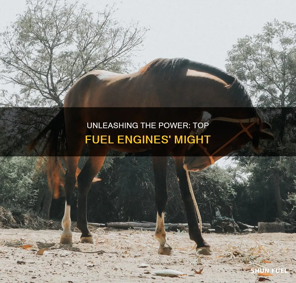 how much power does a top fuel engine make