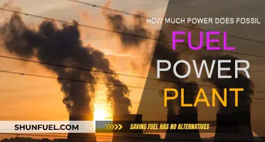 Unraveling the Power Capacity of Fossil Fuel Plants