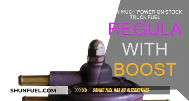 Boosting Power: Fuel Regulator's Role in Performance